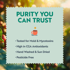Clean Coffee Co. dark roast with caramel note emphasizes rich flavor.
