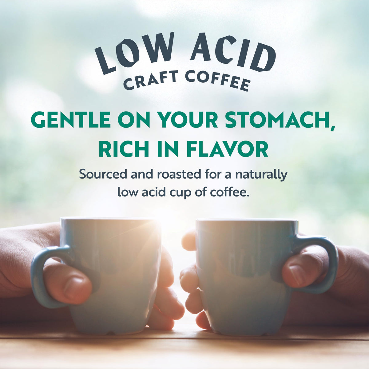 Clean Coffee Co. lab testing image demonstrates mold and toxin screening.
