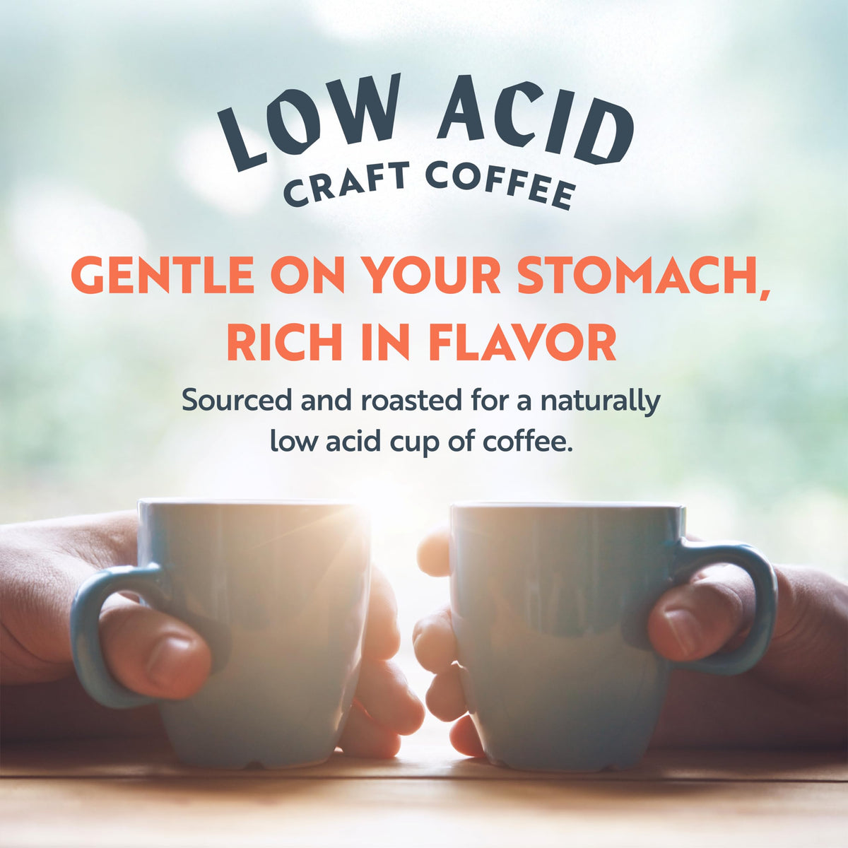 Clean Coffee Co. milk chocolate and roasted almond notes visual for rich flavor