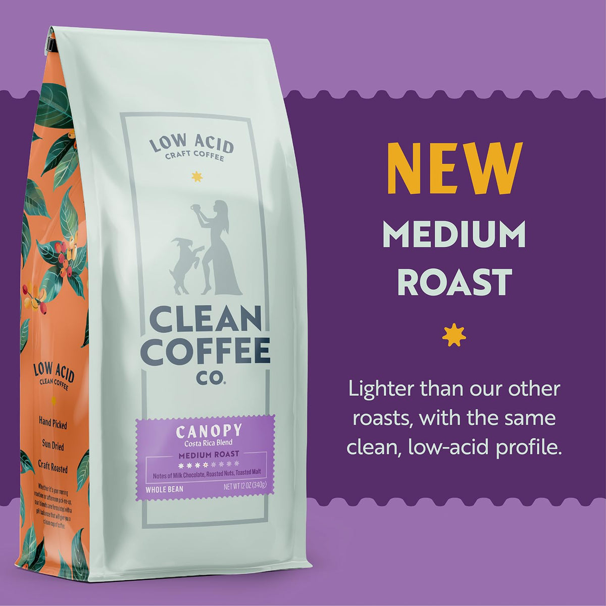 Clean Coffee Co milk chocolate notes create a balanced, inviting cup.