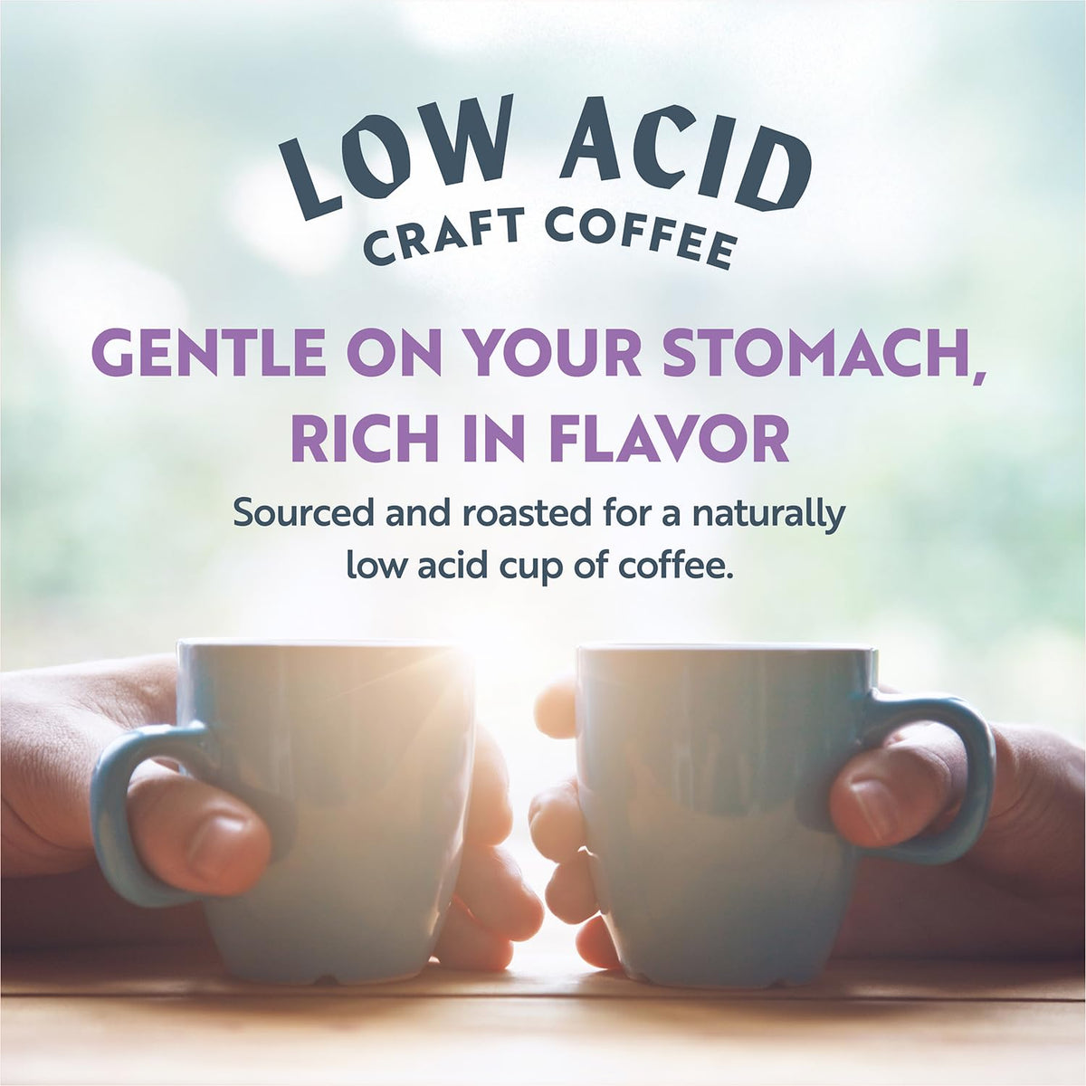 Clean Coffee Co roasted nuts notes image features rich texture in each sip.