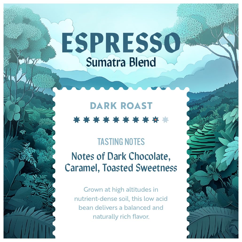 Clean Coffee Co. sun-dried processing visual highlights natural complexity and subtle sweetness.