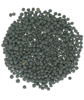 CLEAR CREEK Beluga Lentils cooking on stove highlights fast simmer times and versatility.