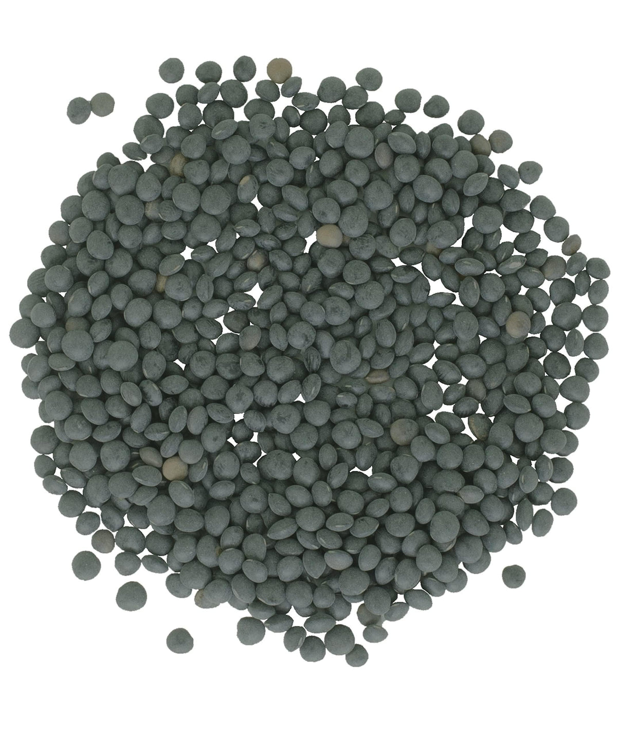 CLEAR CREEK Beluga Lentils dry pulses image highlighting quick-cook convenience