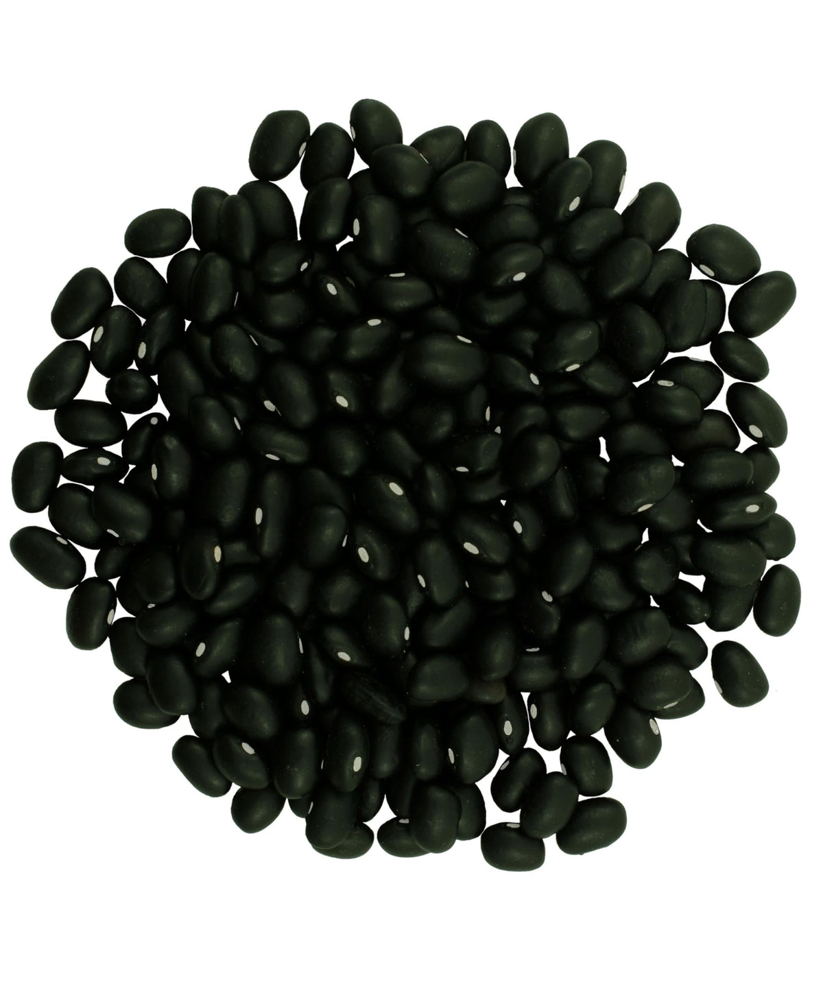 Close-up of dry CLEAR CREEK black beans, non-GMO and vegan.