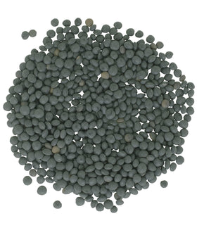 CLEAR CREEK black lentils packaging highlighting premium non-GMO quality for healthy meals.