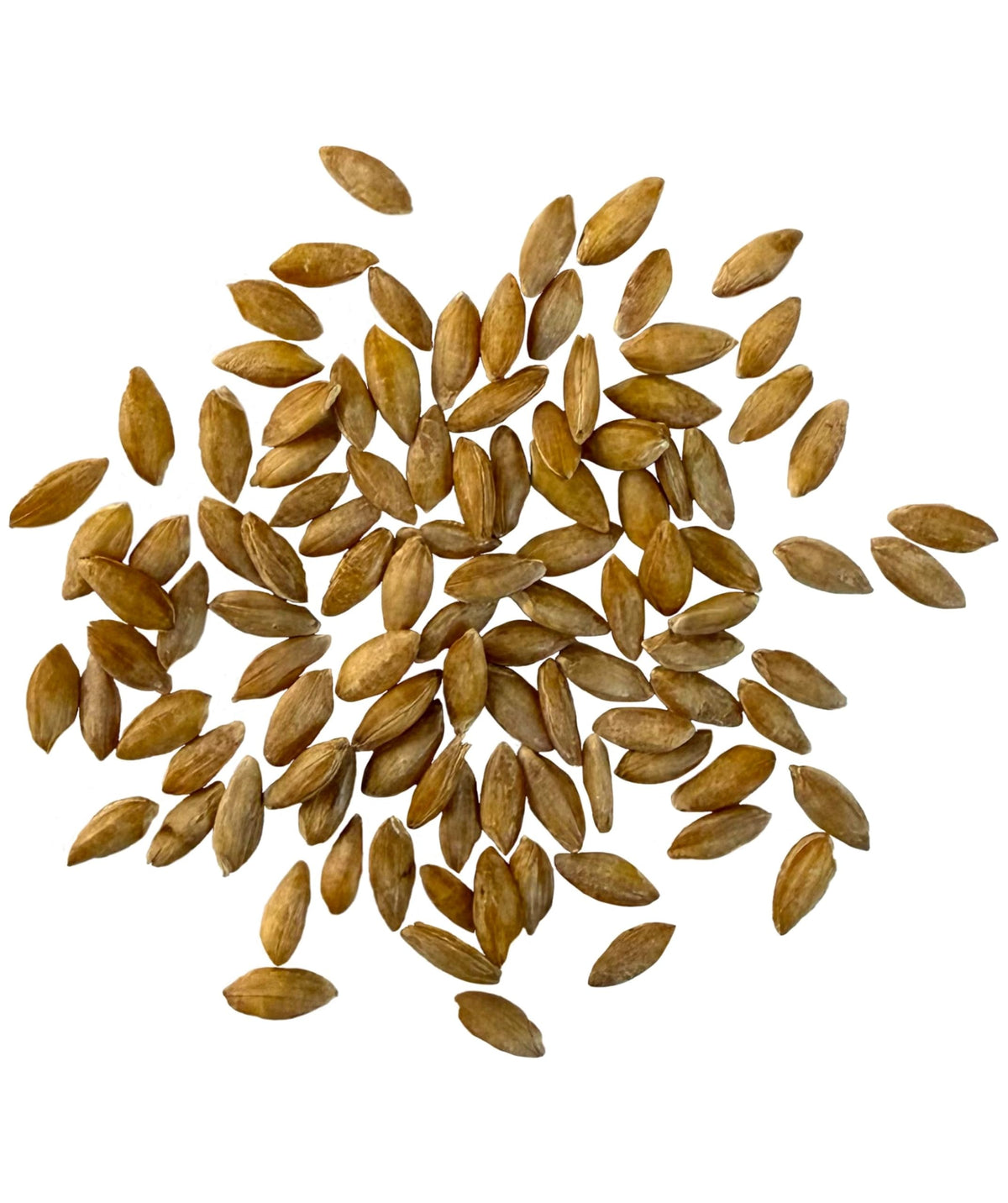 CLEAR CREEK Einkorn Wheat Berries cooking-ready grains inspire breads and hearty bowls.