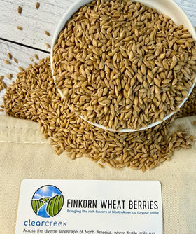 CLEAR CREEK Einkorn Wheat Berries pour, demonstrating versatile ingredient for breads and porridges.