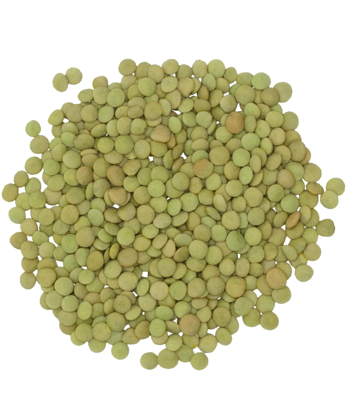 CLEAR CREEK Green Lentils in a bowl ready to simmer in 25-35 minutes