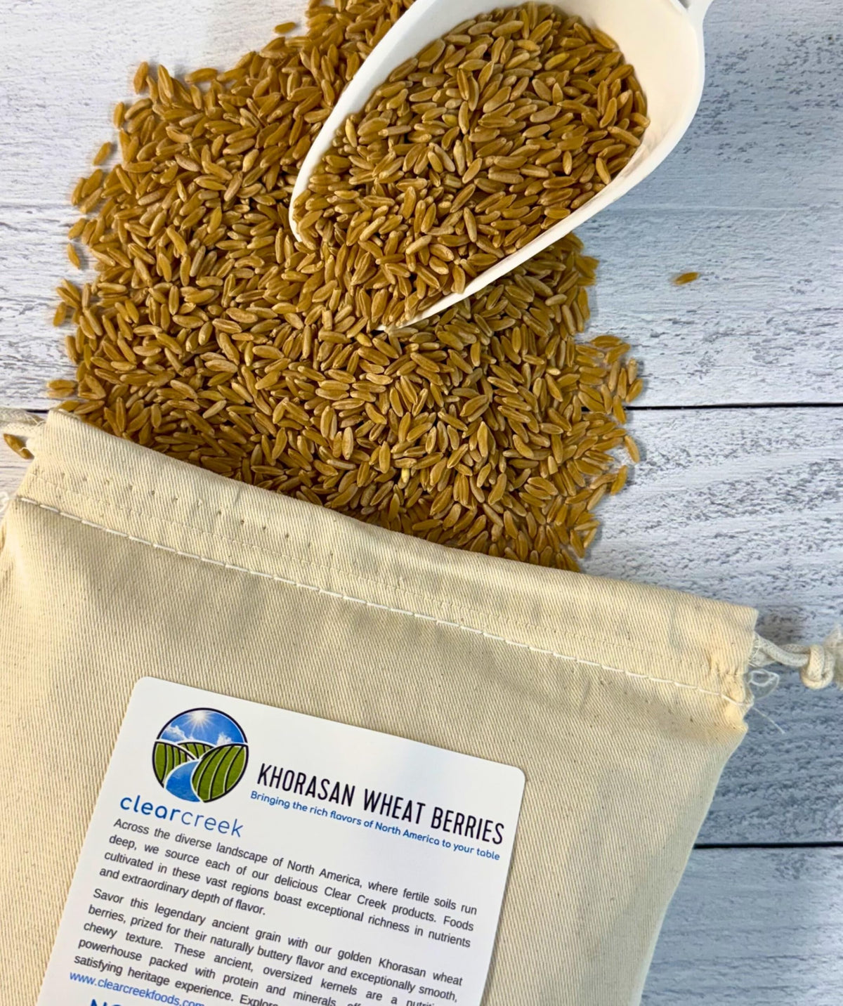 Clear Creek Khorasan wheat berries ready to enrich breads with chewy texture.