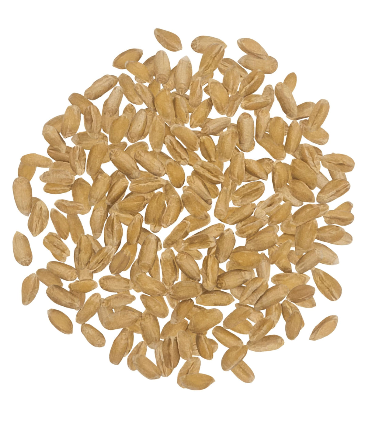 CLEAR CREEK Spelt Berries bag back label highlights origin and sustainability