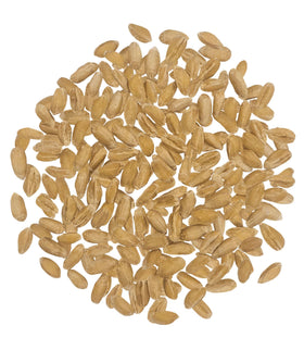 CLEAR CREEK Spelt Berries bag back label highlights origin and sustainability