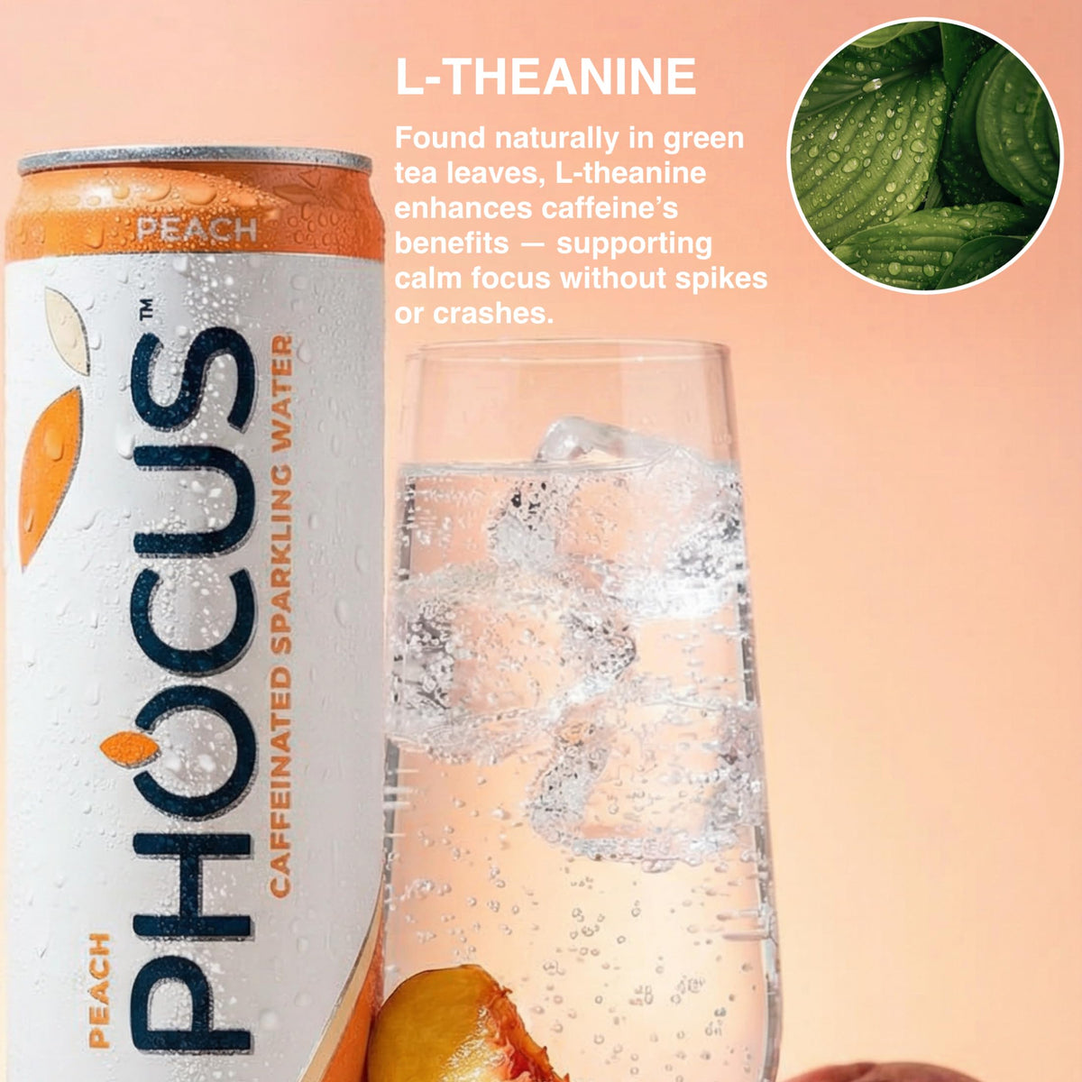 CLEAR CUT PHOCUS can chilling in fridge ready for refreshment
