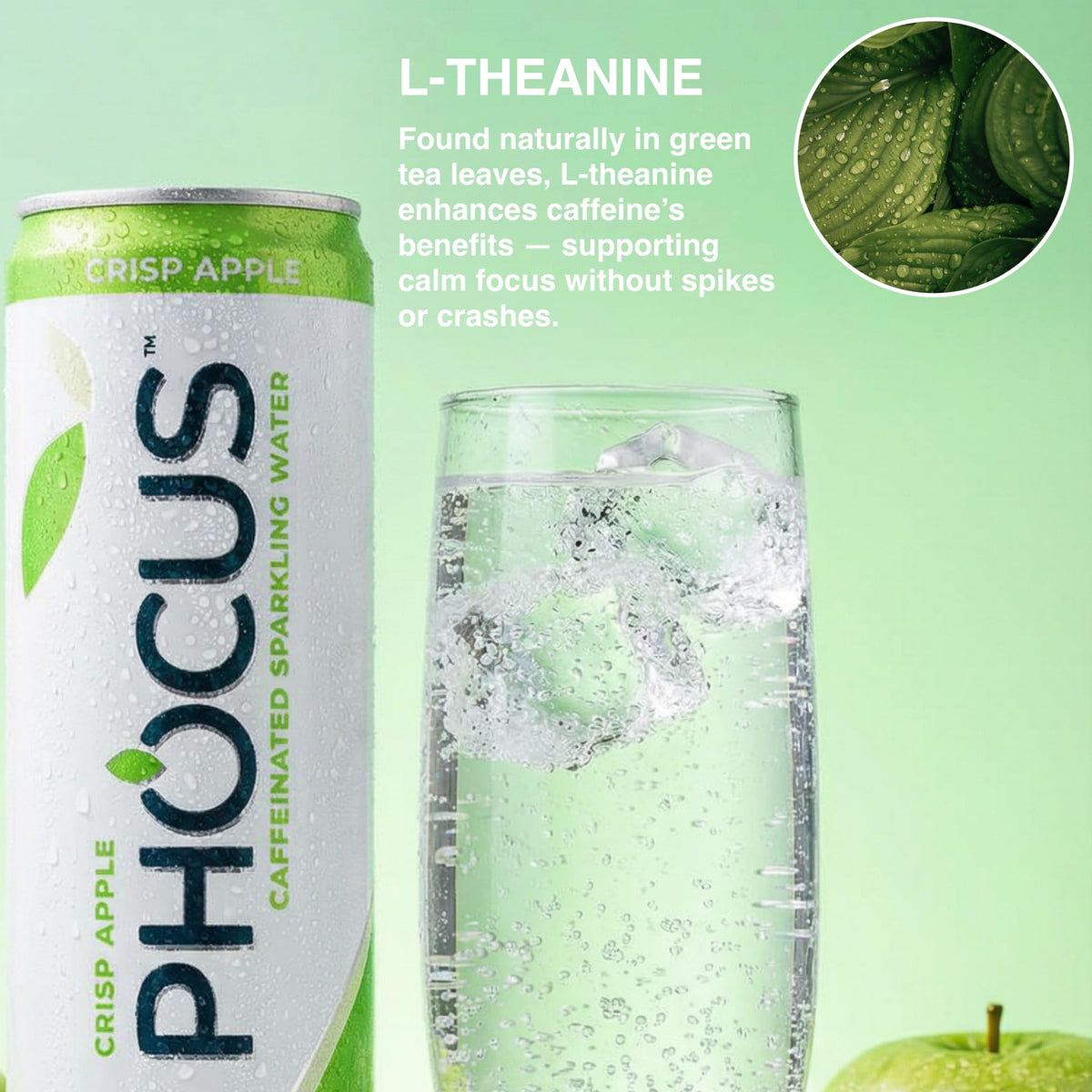 CLEAR CUT PHOCUS sparkling water pours with bubbles and refreshing aroma.