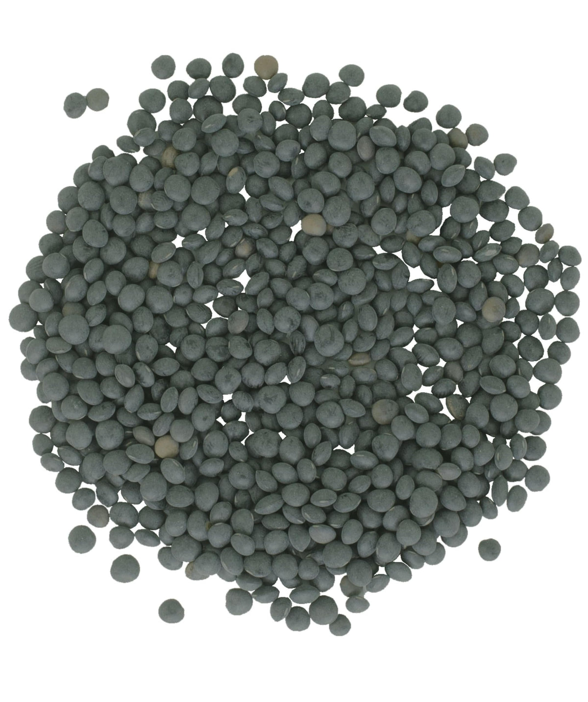 CLEAR CREEK lentils being poured into pot for quick, protein-rich weeknight meals.