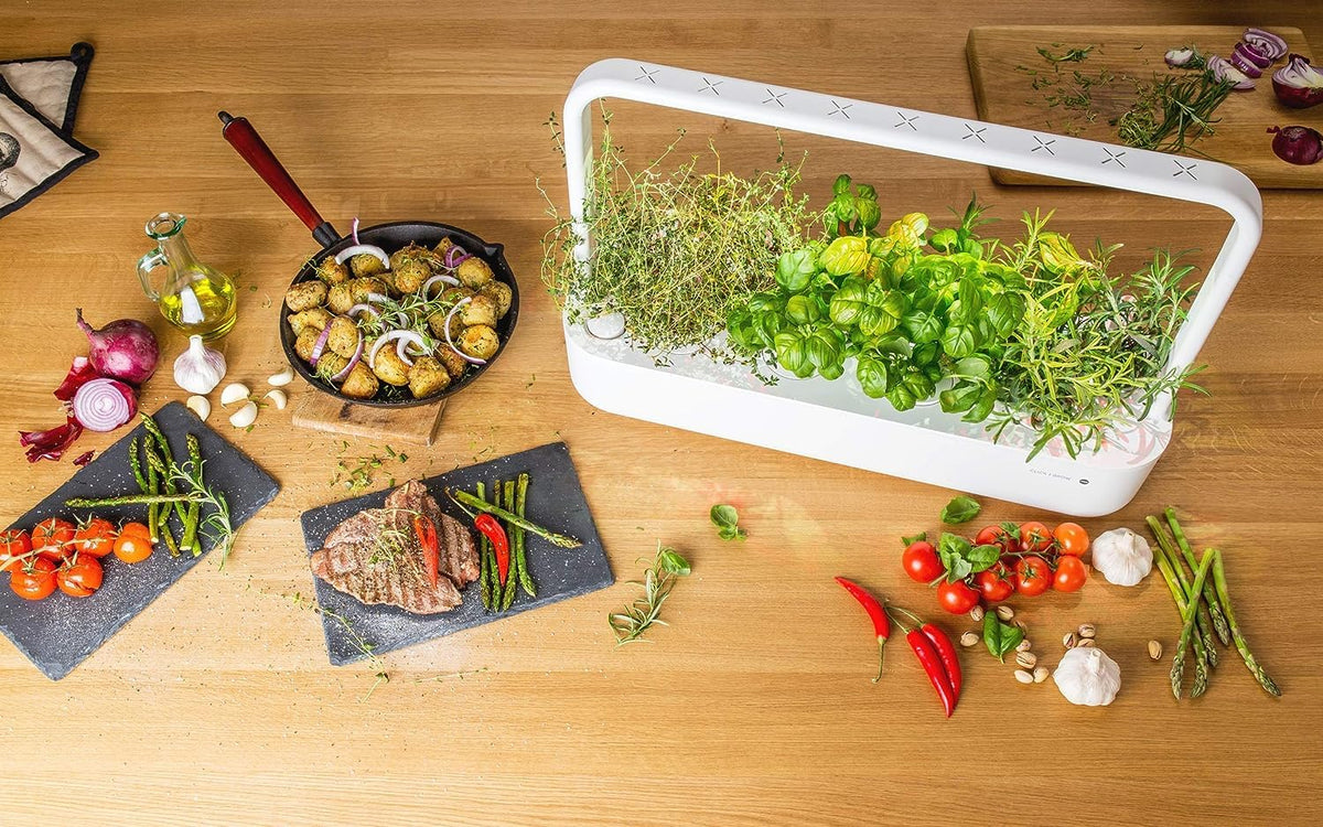 Thyme pods on the kitchen counter ready for immediate culinary use