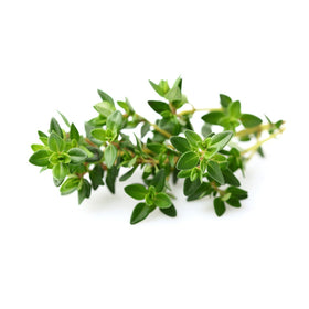 Inserting Click and Grow thyme pods into the Smart Garden for effortless setup
