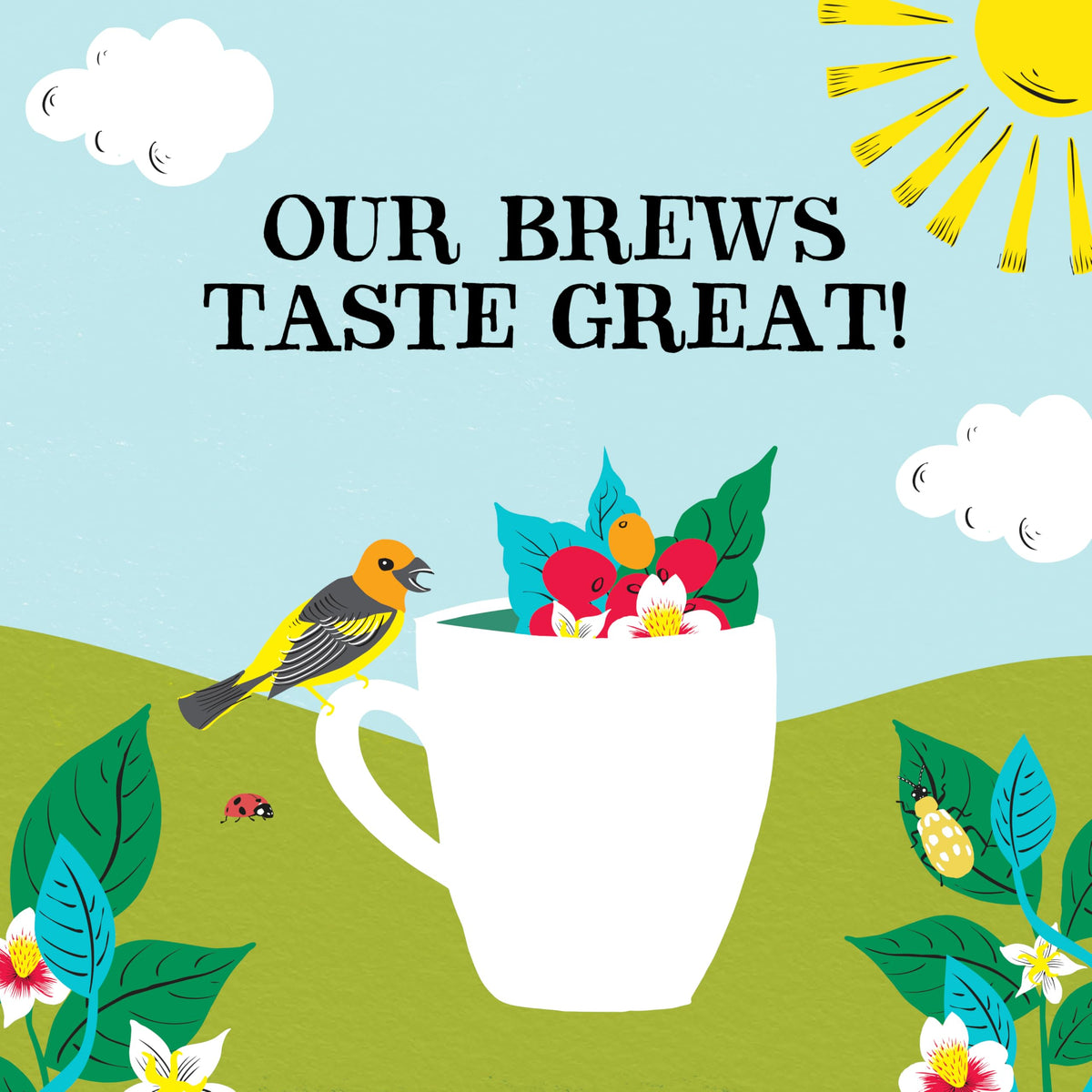Clipper Coffee Freeze-Dried Instant 100g—convenient quick brew any time