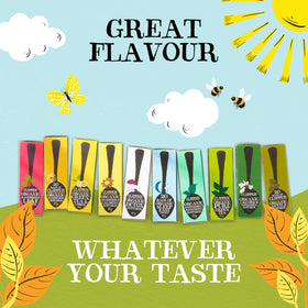 Clipper Tea lemon-ginger teabags with citrus aroma ideal for afternoon tea.