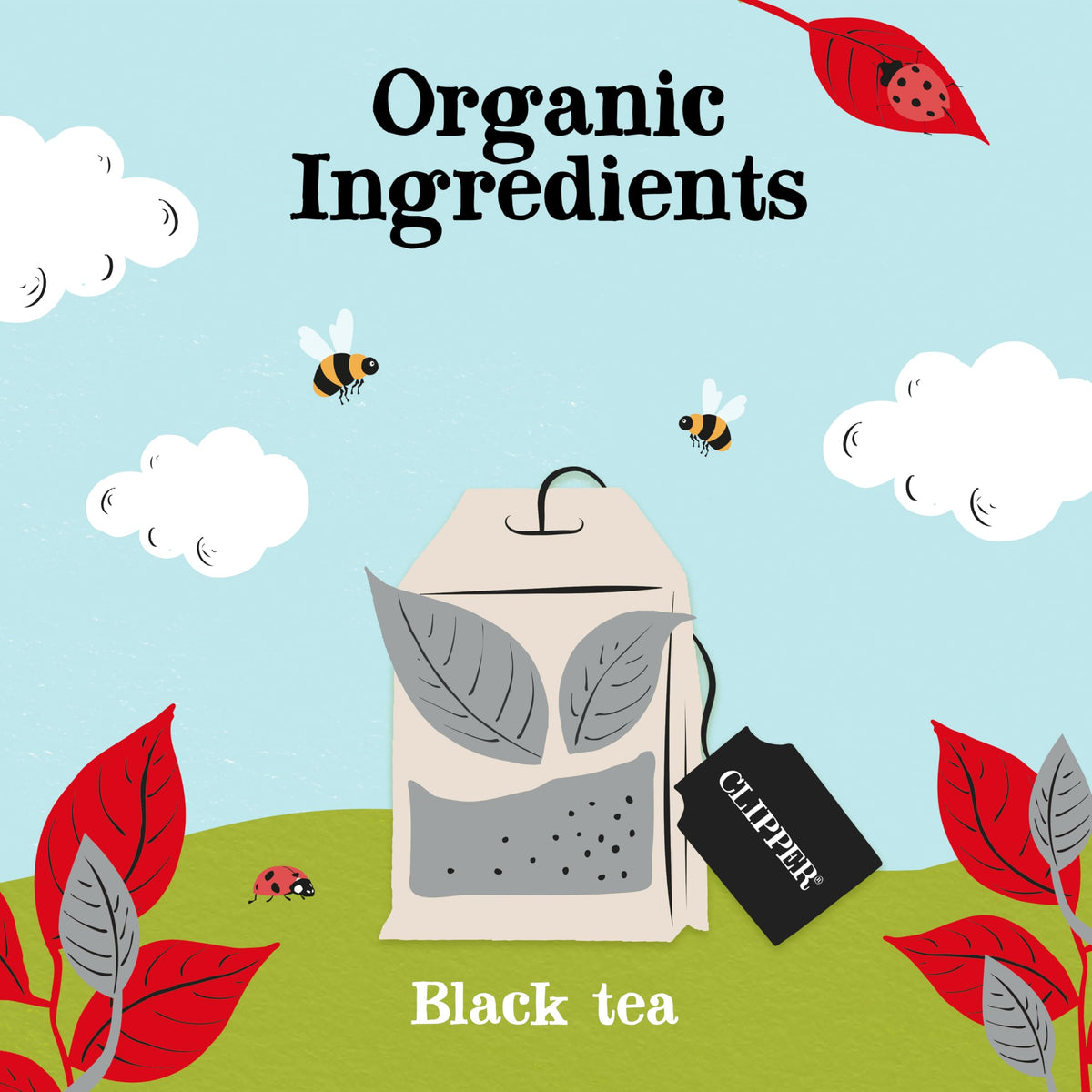 Clipper Tea dried Assam leaves closeup reveals rich aroma and bold flavor potential.