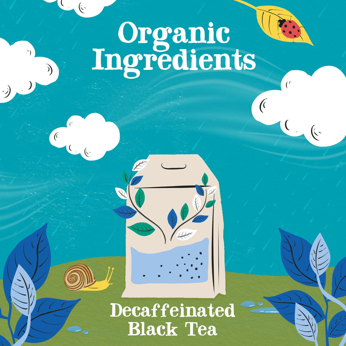 Clipper Tea Fairtrade Organic certification supporting ethical sourcing