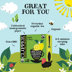 Clipper Tea organic green tea cup showcasing vibrant brew for a natural energy lift.
