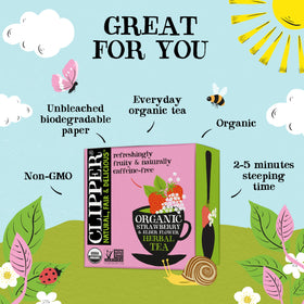 Clipper Tea organic strawberry elderflower tea in dried fruit pieces close view for flavor