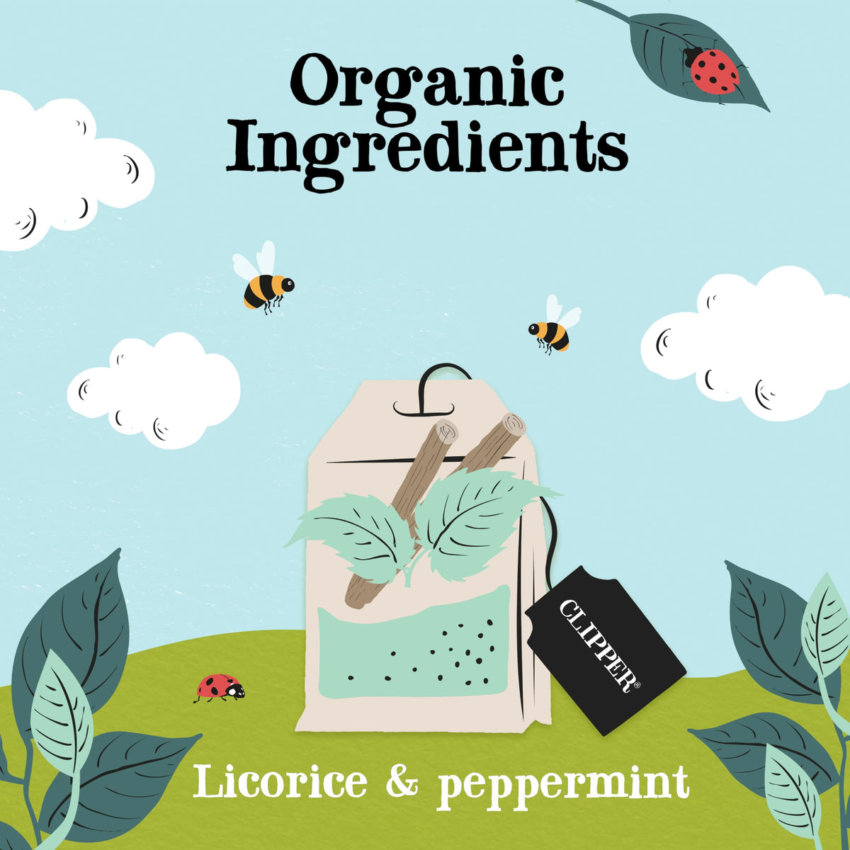 Clipper Tea peppermint licorice teabags hot brew captures vibrant mint aroma.