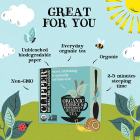 Clipper Tea peppermint licorice teabags steeping cup ideal for a refreshing sip.