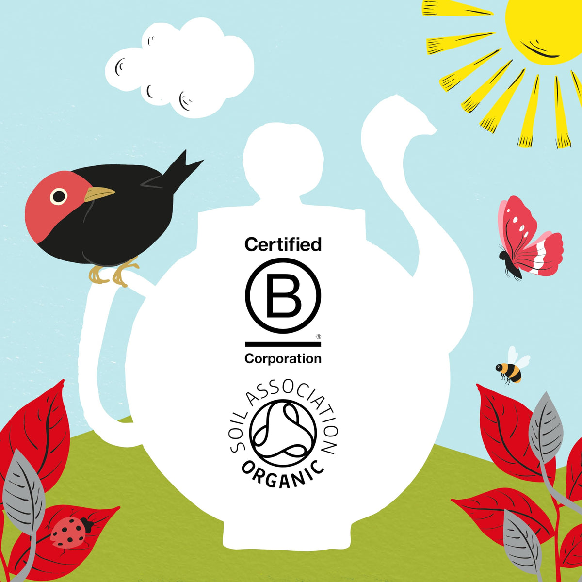 Clipper Tea plant-based ingredients label indicates vegan-friendly tea option.
