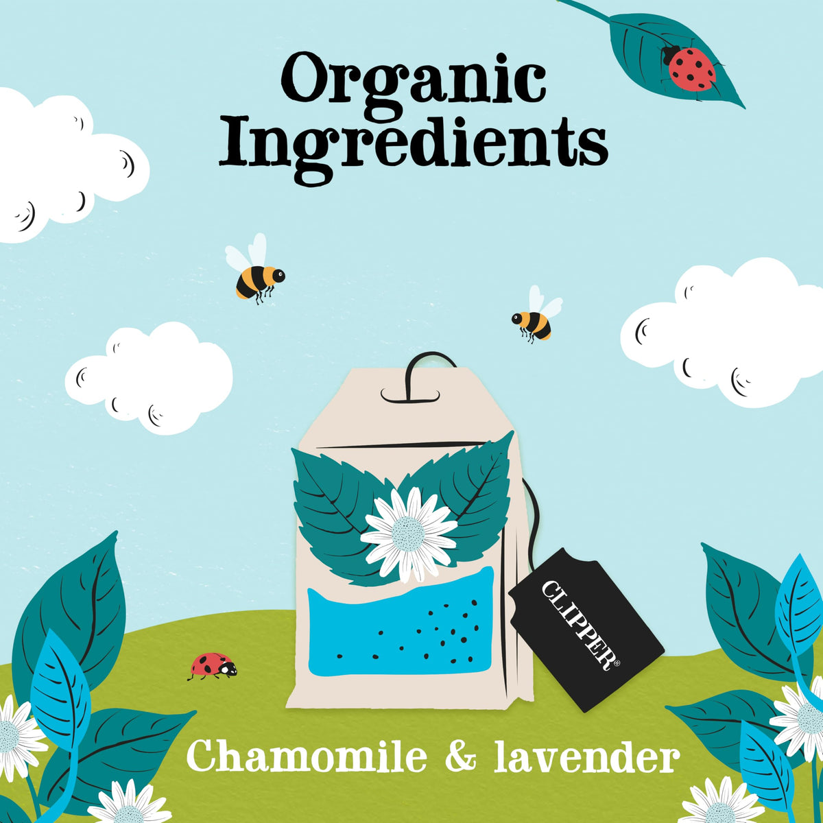 Clipper Tea Snore and Peace lemon-balm-balance aroma for gentle daytime flavor.