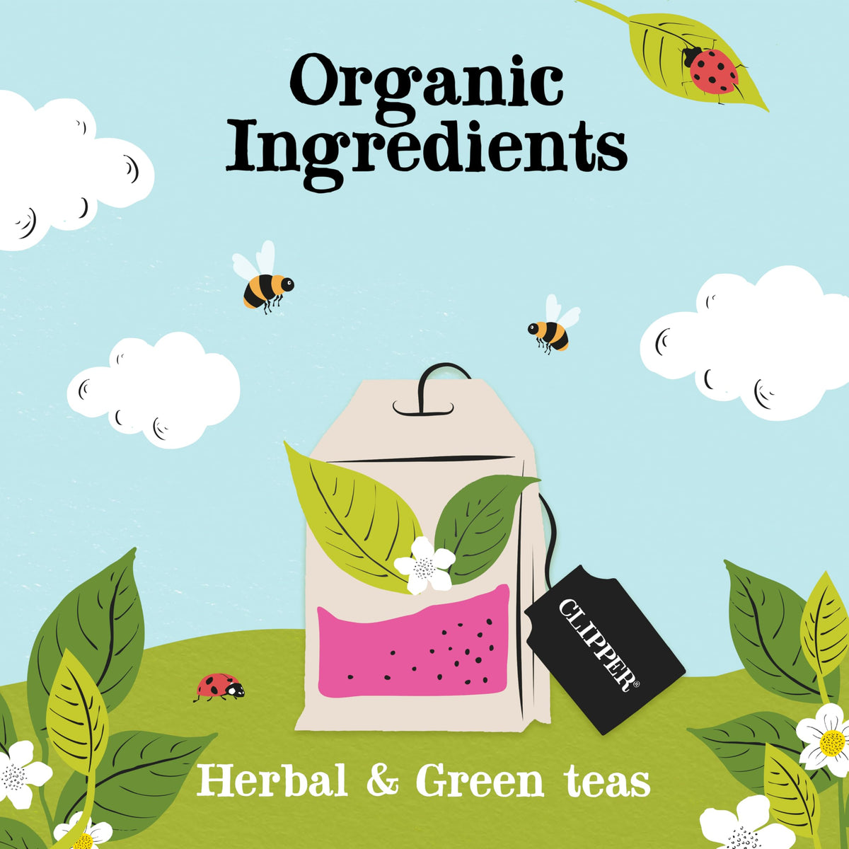 Clipper Tea tea bags display, convenient daily brewing option