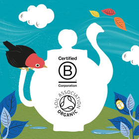 Clipper Tea Unbleached tea bags for eco-conscious packaging