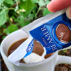 Office-use pack of creamer packets keeps desks tidy and ready.