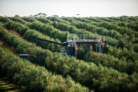 Heritage-style Cobram Estate EVOO bottle for premium cooking.