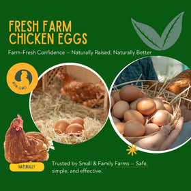 Coclara chemical-free formula is safe for laying hens and natural flocks.