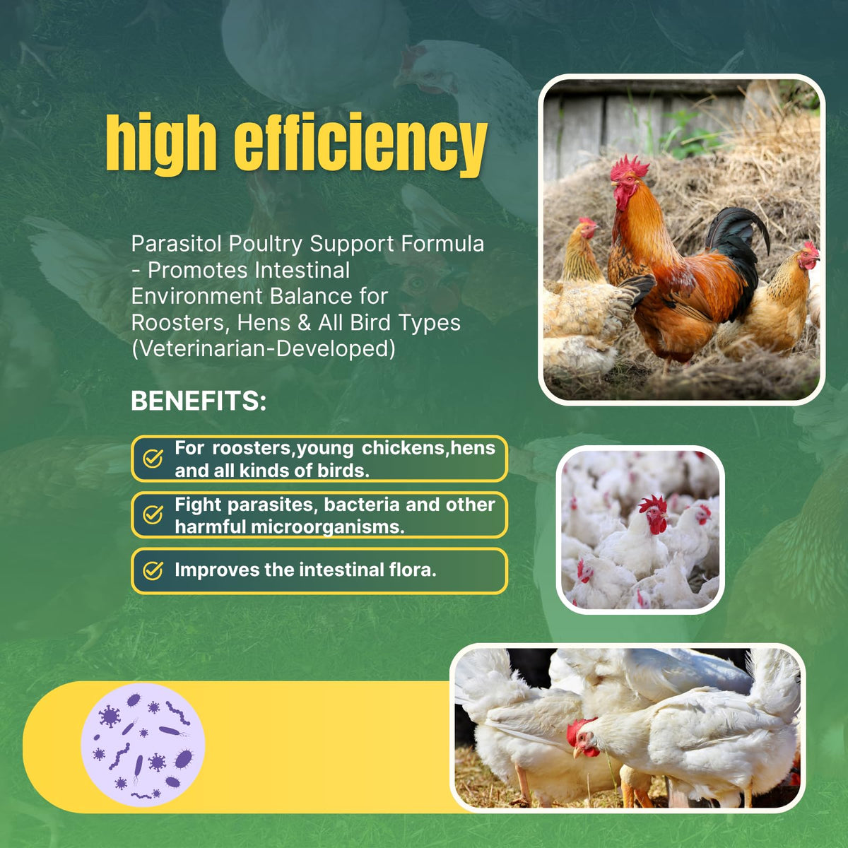 Coclara de-wormer supports stronger eggshells and cleaner eggs during daily care.