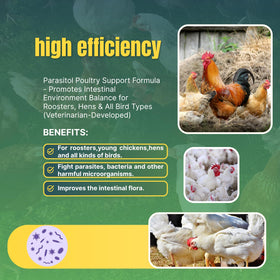 Coclara de-wormer supports stronger eggshells and cleaner eggs during daily care.