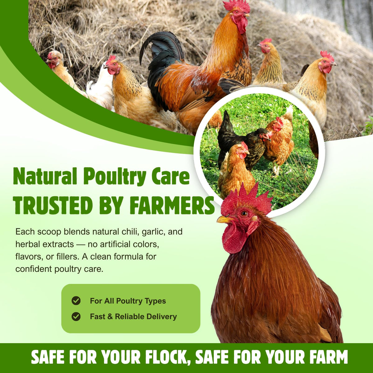 Coclara plumage health with glossy, vibrant feathers from regular use.