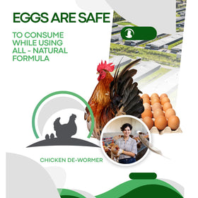 Coclara USA farm-tested, trusted by thousands of backyard flocks.