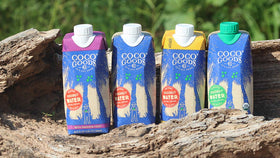COCOGOODSCO no-sugar-added focus emphasizes natural sweetness without additives.