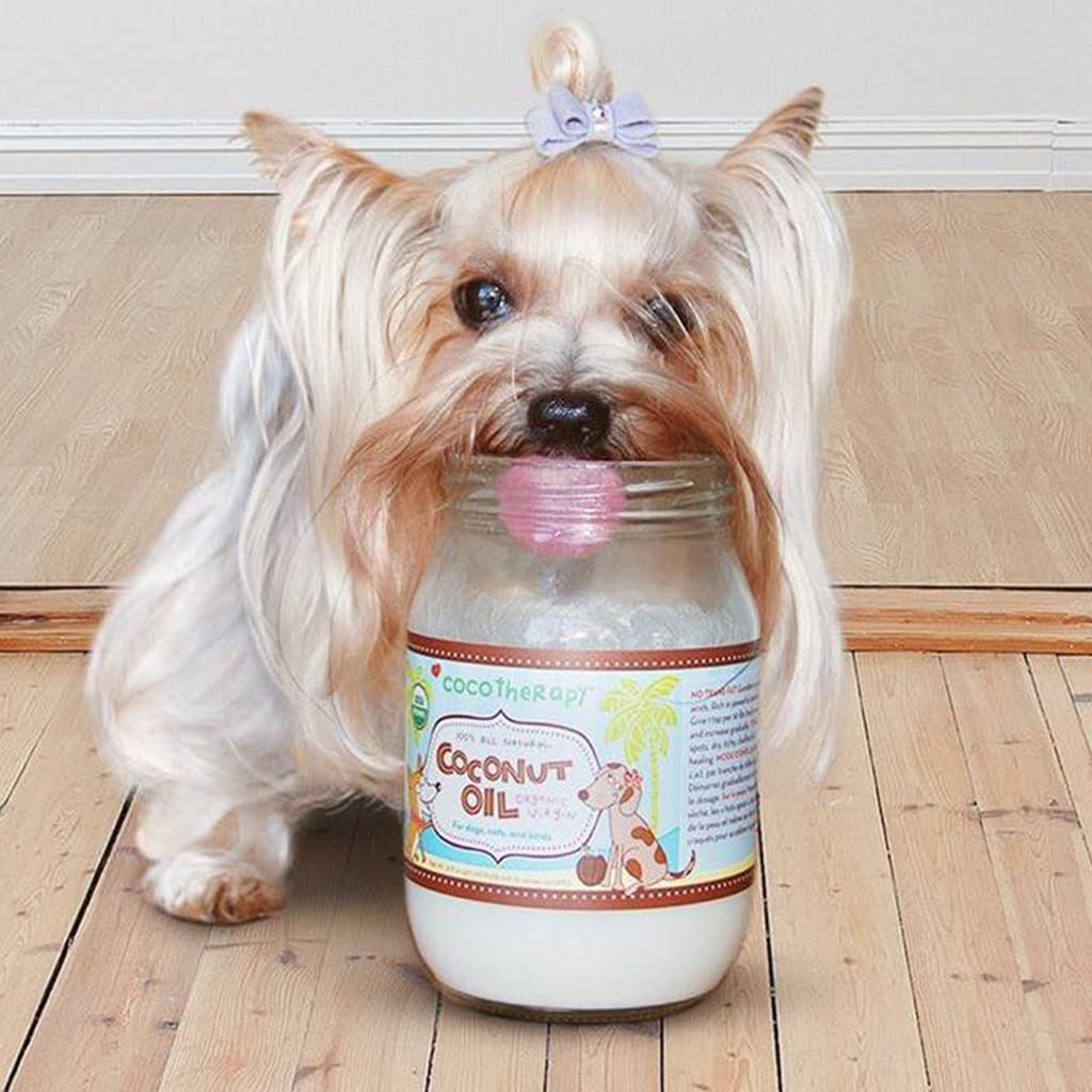 CocoTherapy coconut oil bottle promotes breath freshness and skin soothing use.