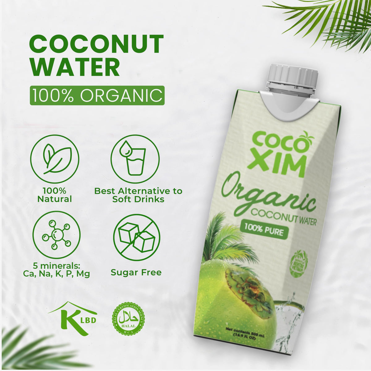 Cocoxim coconut water in a morning refreshment scenario.