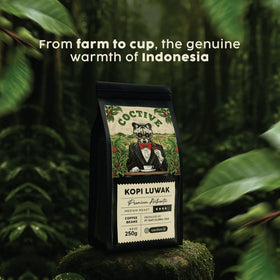 Coctive Kopi Luwak gift-set packaging—luxury presentation for gifting coffee lovers.