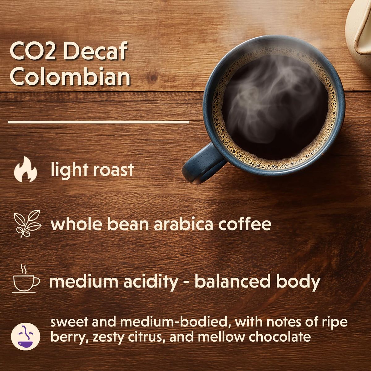 Coffee Bean Direct Arabica beans highlighting balanced flavor for daily use