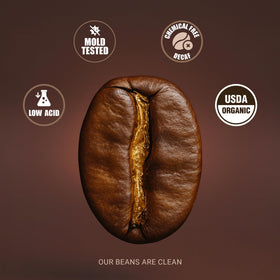 COFFREE low-acid formula ingredients close-up.