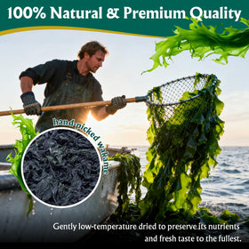 Colehechr wakame resealable zipper image highlighting freshness and long storage.
