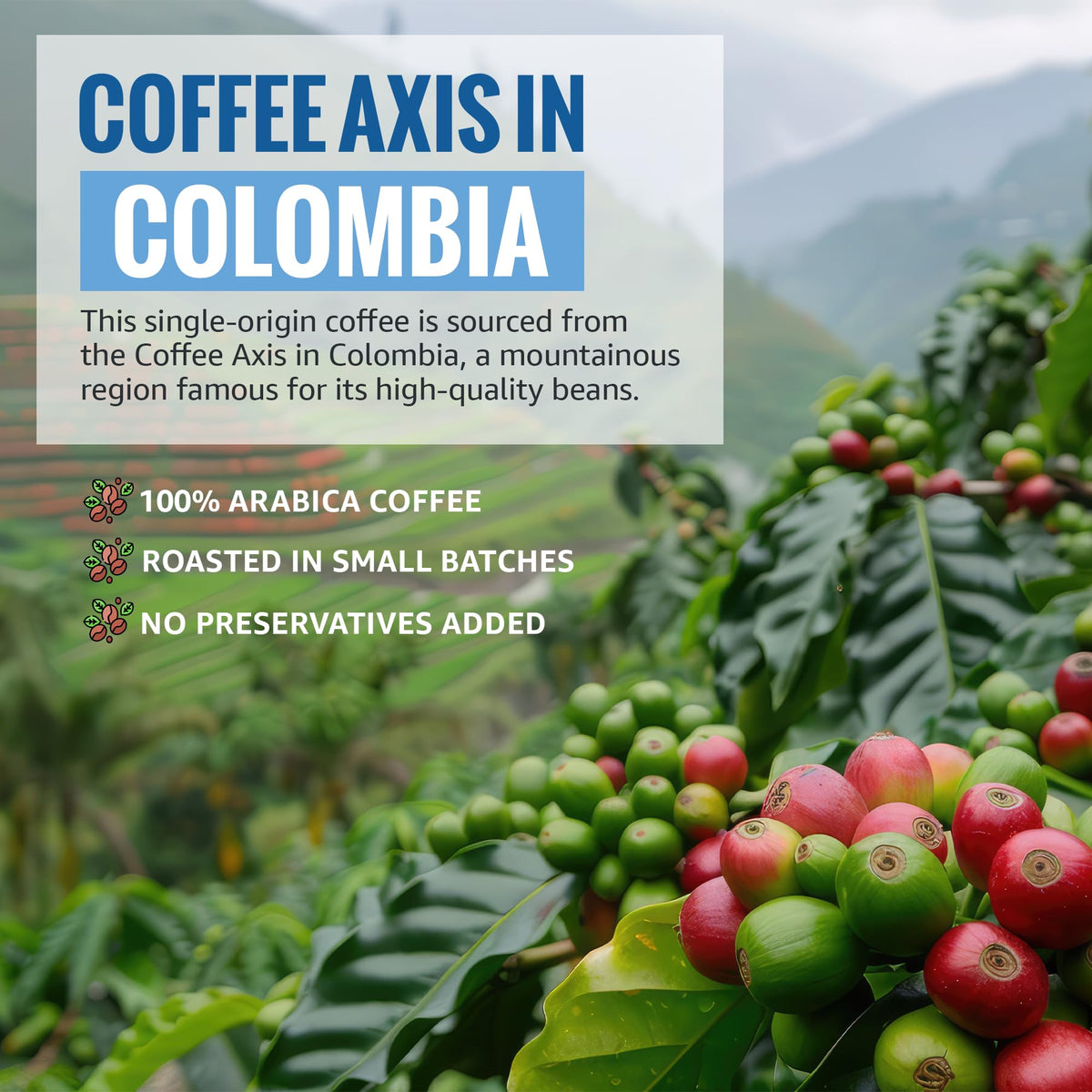 Colibri Coffee drip brew with ground coffee and brewed cup