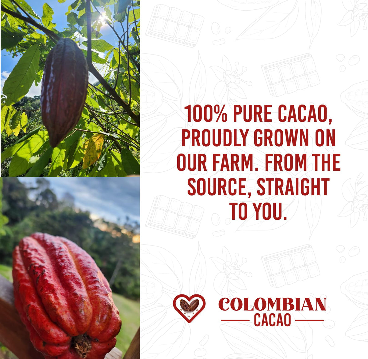 Colombian Cacao farm origin label reinforces farm-grown, additive-free cacao.