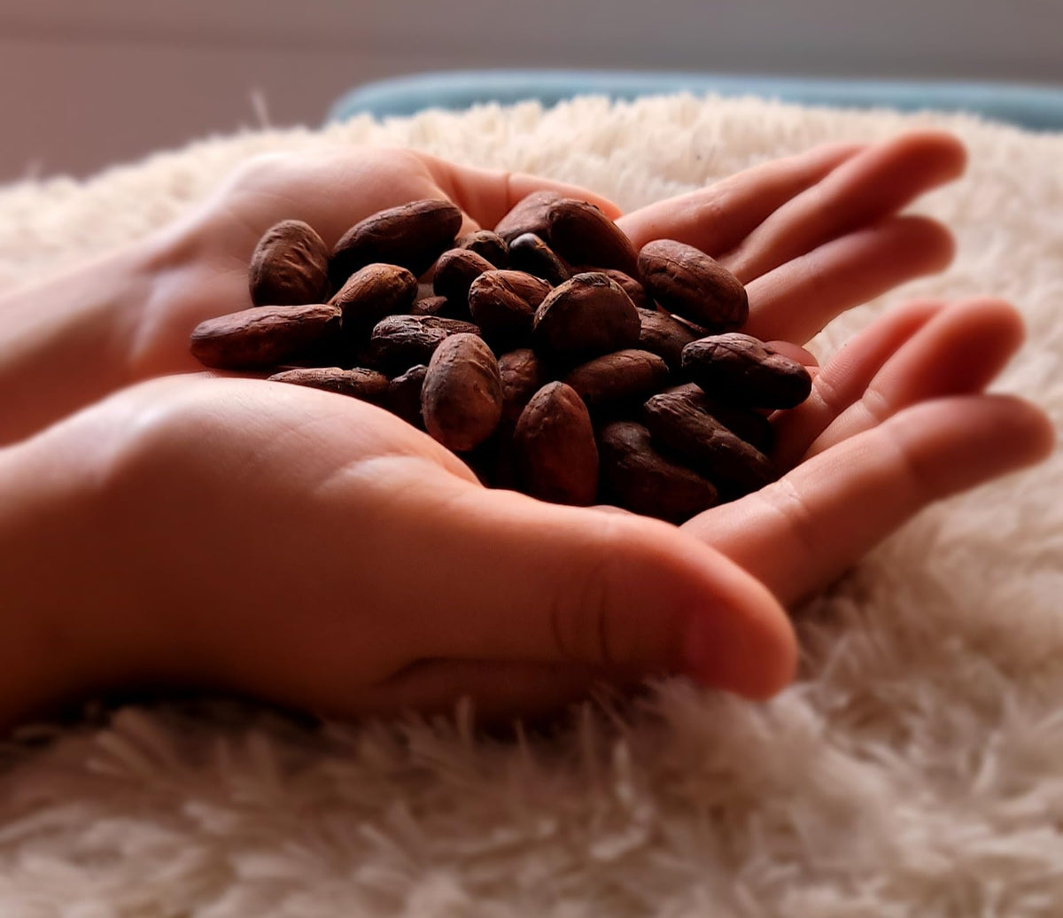 Colombian Cacao hand-processed beans image shows careful production method.